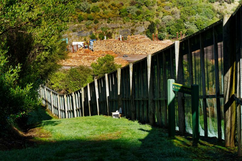 Wooden Dog Fence Installation
